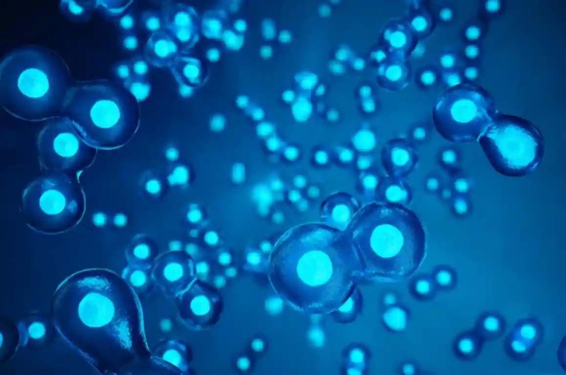 公布！华夏源细胞集团干细胞冻存环节