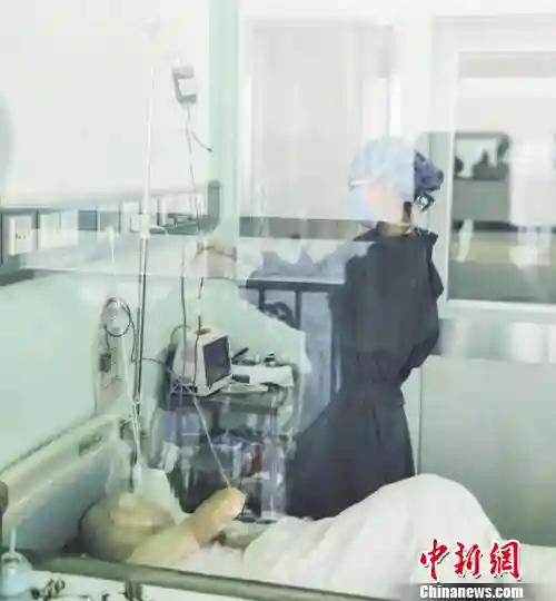 亲缘脐带血造血干细胞移植成功 弟弟脐带血救哥哥命