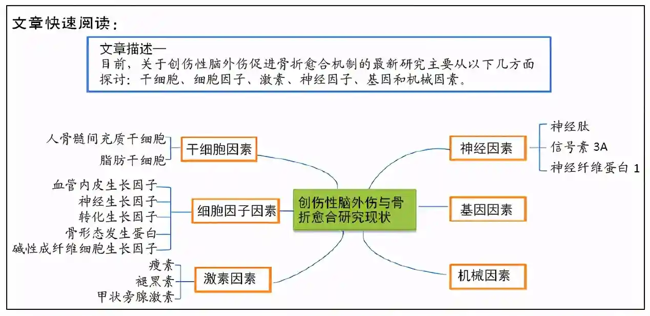 创伤性脑外伤促进骨折愈合中的干细胞、细胞因子、激素、神经肽及基因