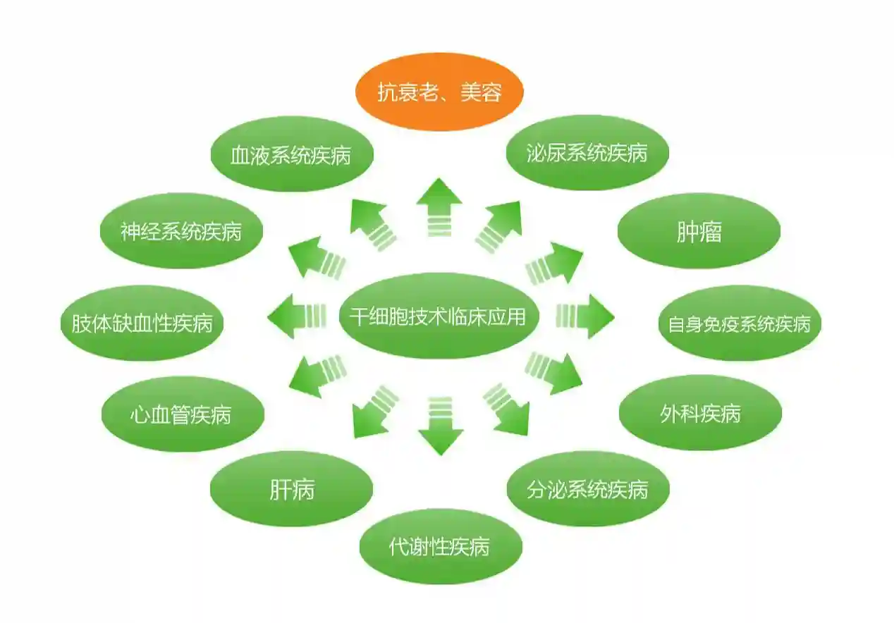 资本大佬龚虹嘉2.5亿加持，这只站在干细胞风口的猪能飞起来吗？