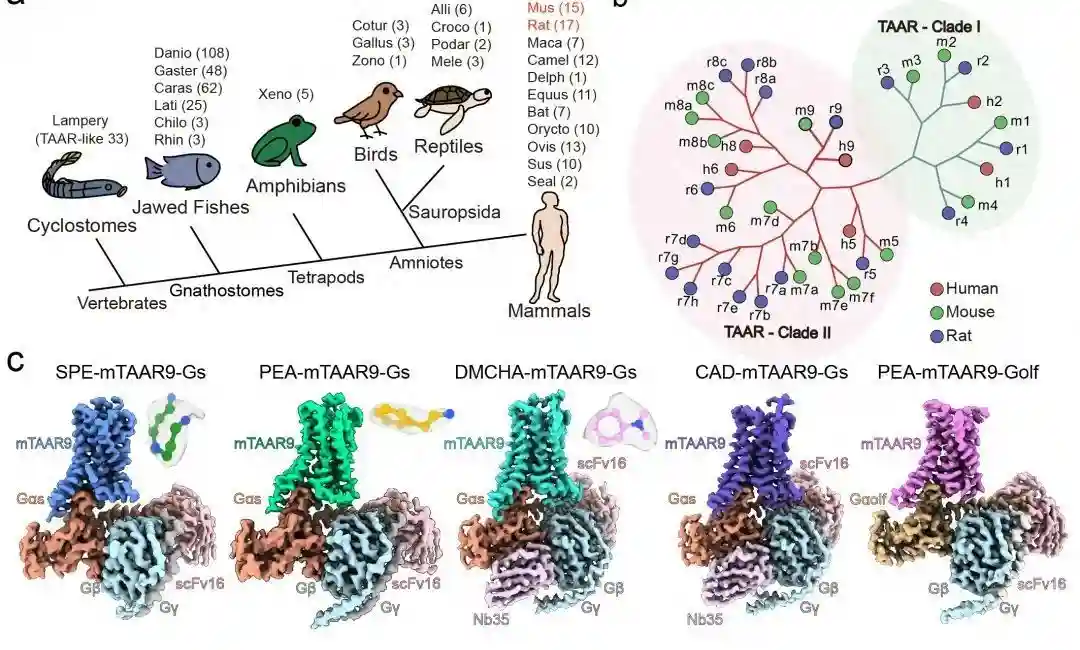 2023年“十大”科技进展公布，这些与生物医学相关