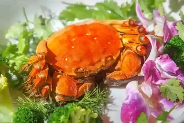 确实！很多南京人想要这里的生活……