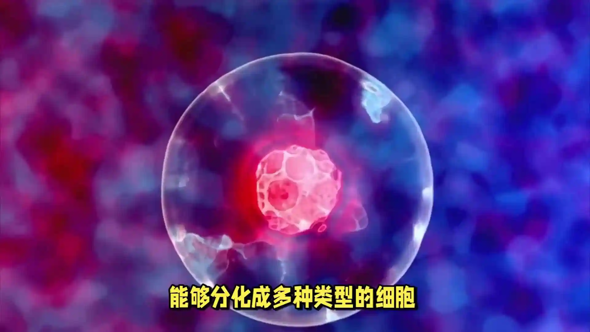 干细胞疗法引领精准医疗新纪元