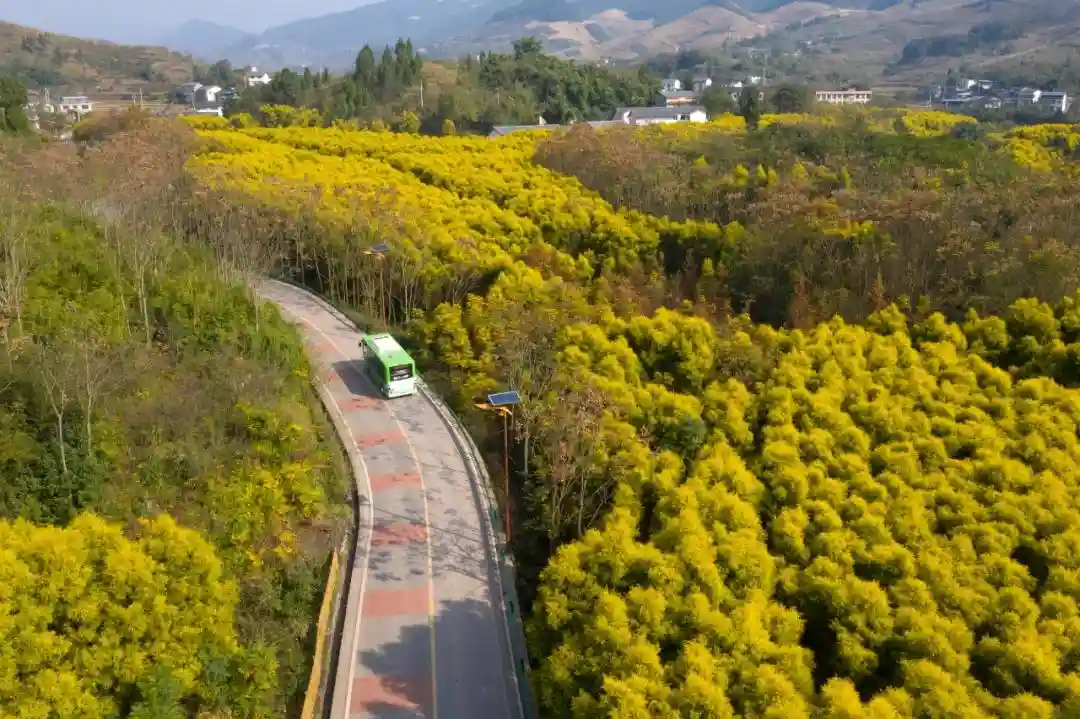 用5分钟快速浏览上周北碚热点！