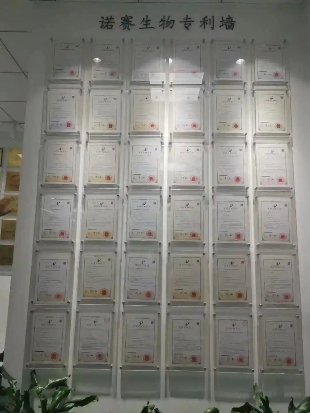 携手赋能全生命周期健康管理，美医集与诺赛生物达成战略合作