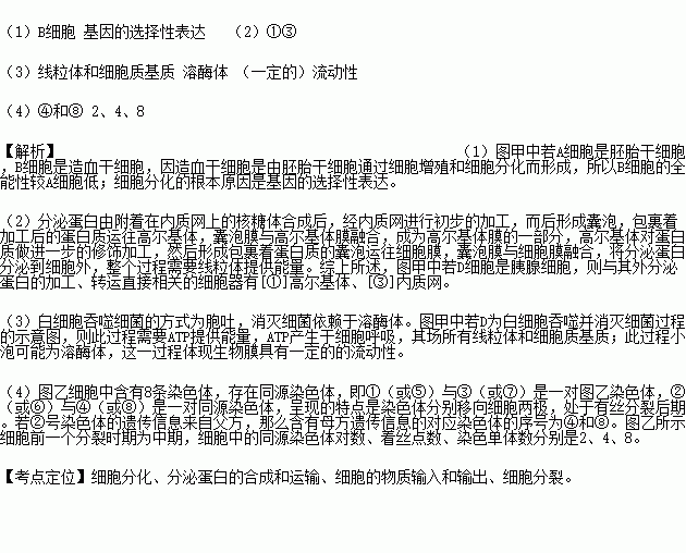 九芝堂业绩企稳新气象 加码科研布局干细胞前沿