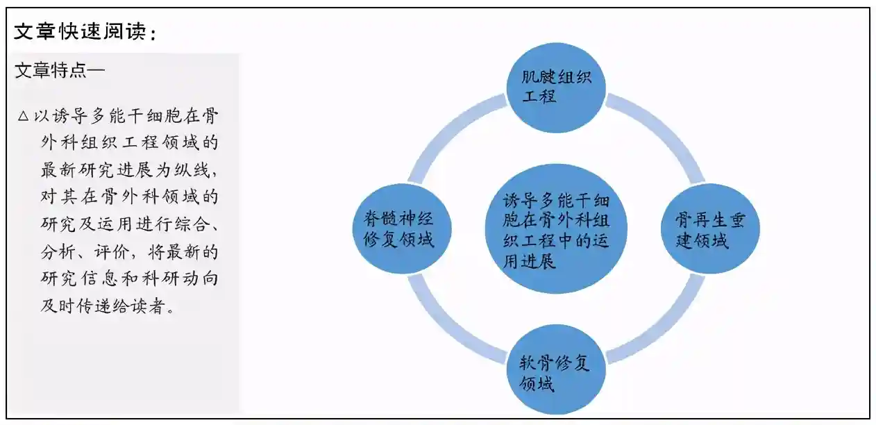 诱导多能干细胞在骨外科组织工程中的应用与作用