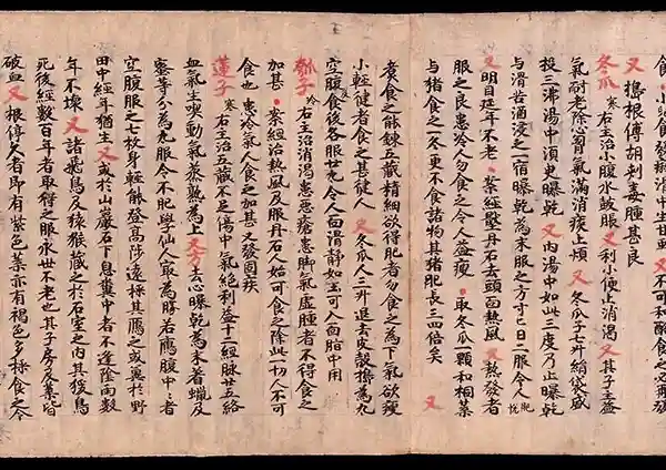 敦煌文献中的重阳｜食疗、登高、冻龄，解密敦煌养生大法