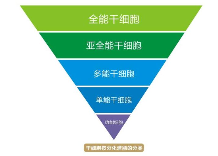 乙肝好了就完事了？血癌化疗易激活乙肝病毒