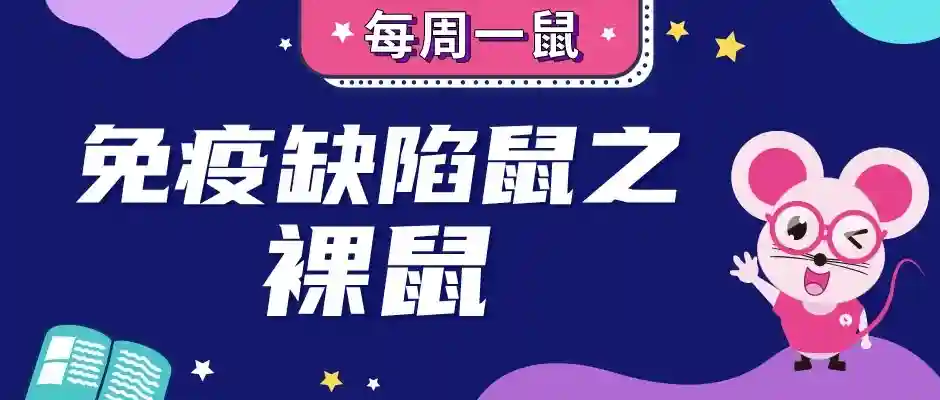 免疫缺陷鼠之裸鼠