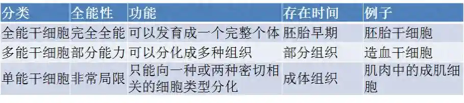 人工干细胞——在困境中诞生的科学突破
