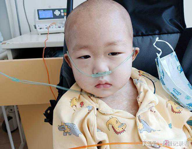 快速衰老与新血细胞生长受损有关