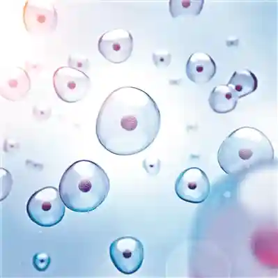 衰老究竟是怎样发生的？专家揭示衰老过程9“特征”