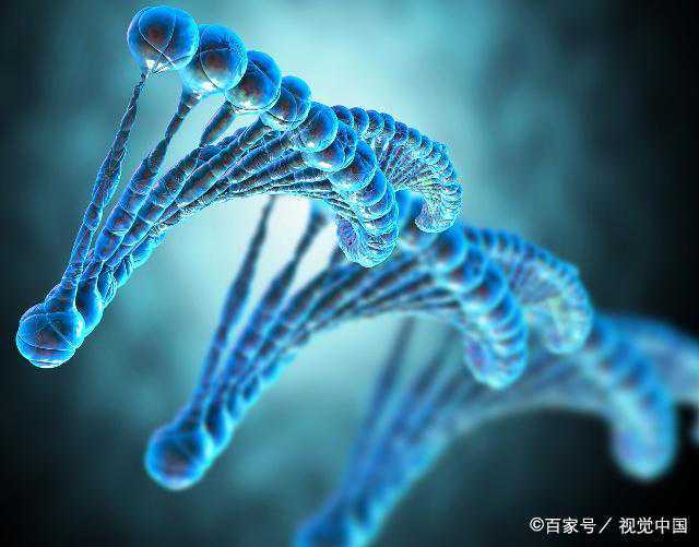 人体有多奇妙？这些器官的独特功能，你都知道吗？