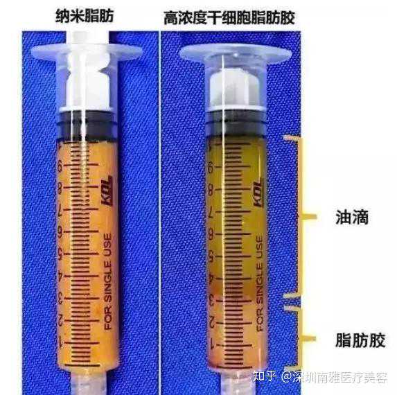 全球首个可自我繁殖活体机器人问世