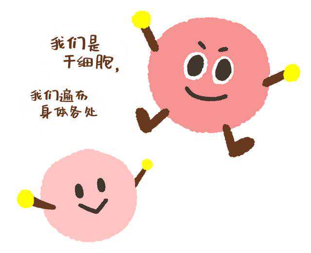 骨折了，长不上！务必要小心这几个原因......