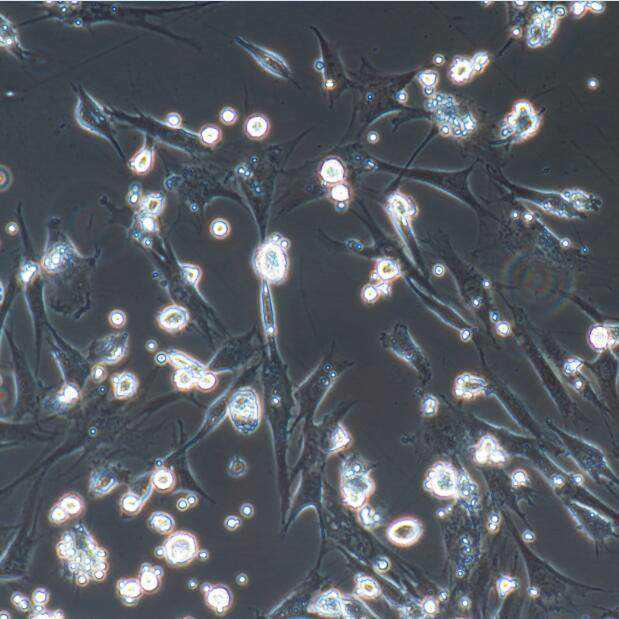 年度盘点秋冬挚爱的两大精华法宝
