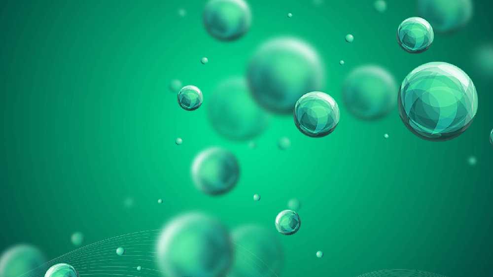 【视频】蝾螈的再生能力惊人，这个说法是正确的吗？