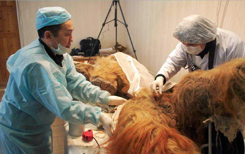 攻克关键难题 勇攀科技高峰（讲述·弘扬科学家精神（特别策划））