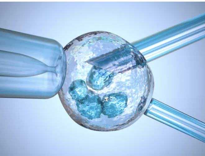 “从1到100”，一个家庭守护孩子的决心