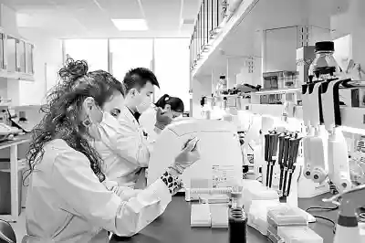 如何让“千里马”竞相奔腾