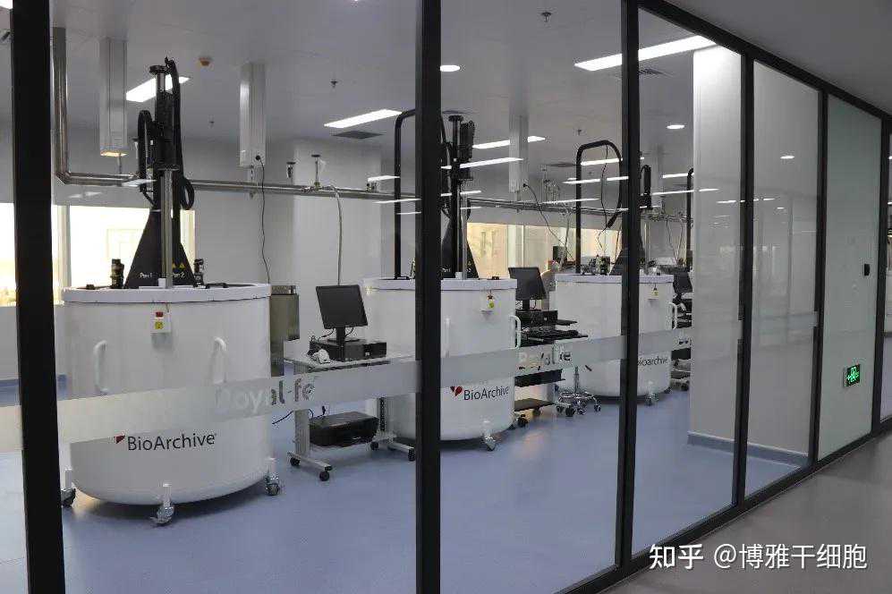 孟海燕：捐献造血干细胞，让生命延续