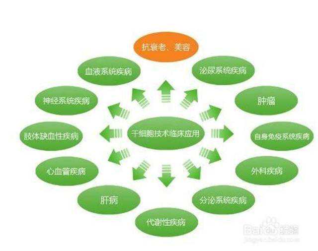 2016年诺贝尔生理学或医学奖揭晓