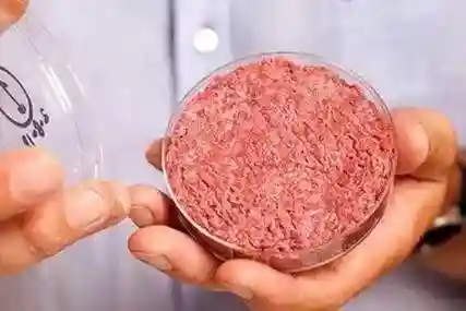 关于“人造肉”，你最关注的四大问题，我们找专家作了解答