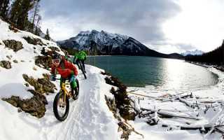 面对白血病患 看咱新疆爱心