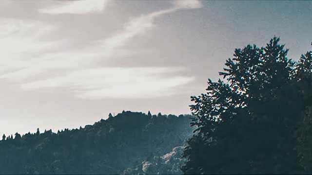 南阳市造血干细胞捐献突破100例——大爱善举传递生命火种